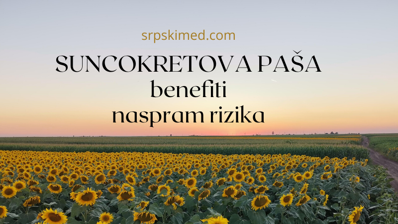 suncokretova paša - benefiti naspram rizika